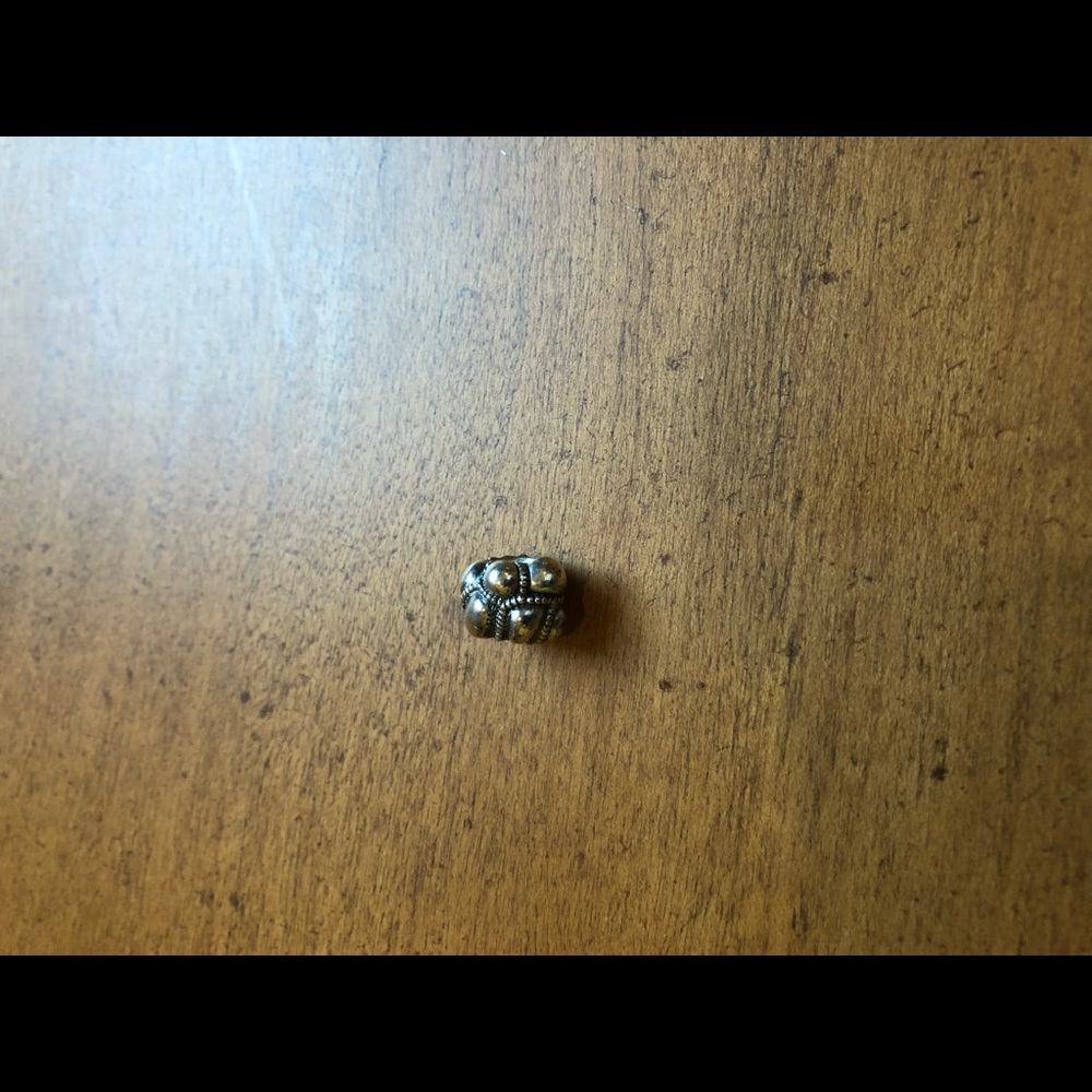 Authentic Pandora Charm- NWOT